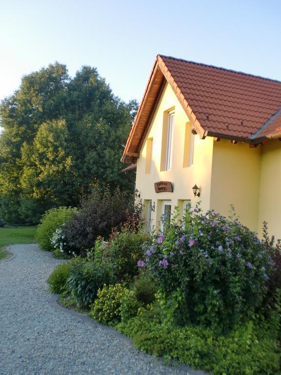 Pensiunea Arpasel Arpasu de Sus Экстерьер фото