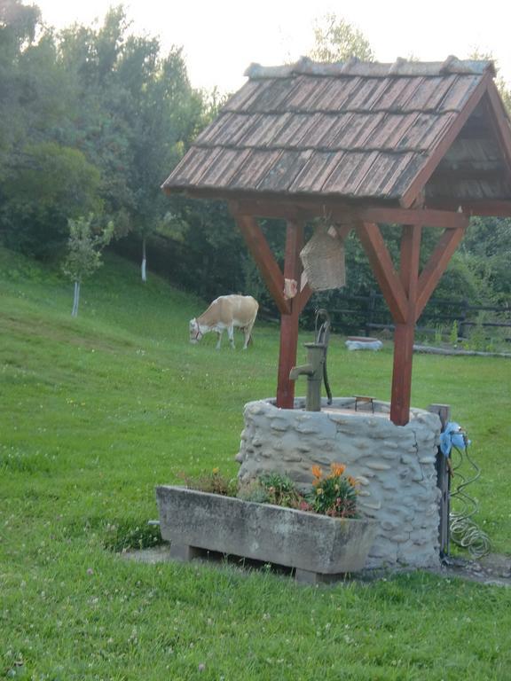 Pensiunea Arpasel Arpasu de Sus Экстерьер фото